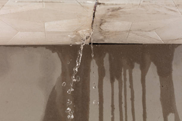 Professional Burst Pipe Cleanup technician working in Walpole, MA
